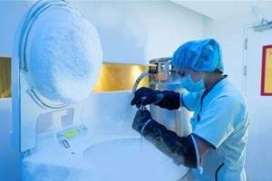如何用别人的卵子结合受孕？生殖专家分析当前试管婴儿试管现状