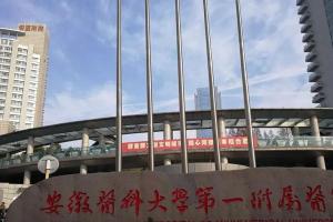合肥安医有卵子库吗？没有，但其拥有开展试管婴儿试管的技术