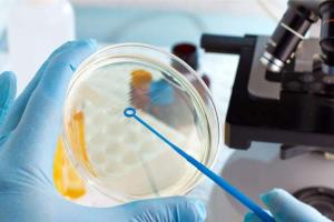 做试管为什么第二次移植容易成功？决定成功并不是看次数