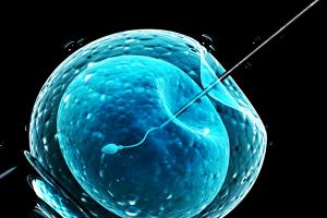 畸形率97%正常精子3%还有救么？当然！别低估了试管技术！