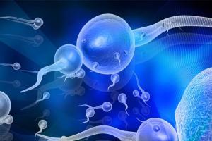 一文详解2022年国内精子库申请精子条件，3点需要同时满足