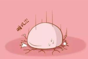 着床期胸胀就预示失败了？“无稽之谈”大错特错