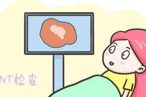 nt单子上有男女标志，“nt厚度”暗示生男生女