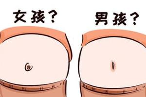 生男生女是谁决定的？“爸爸”大握性别大权