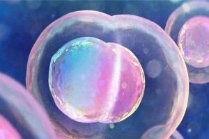 试管婴儿移植冻胚流程，冷冻、储存、解冻一分钟了解