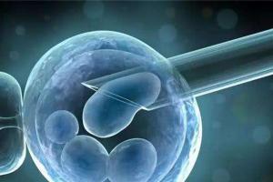绝经做试管婴儿试管很难一次成功？满足这4点成功率直接翻倍