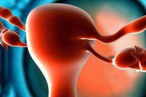 子宫畸形不孕还可以选择做试管婴儿助孕吗？且根据具体情况来分析（附成功案例分享）