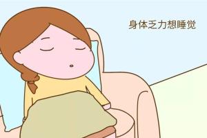 促排卵成功怀孕有什么征兆？10种表现有4种就表示好事将近