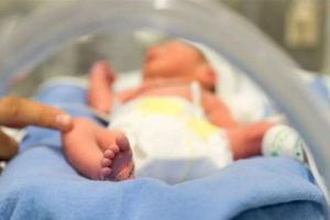 国内未婚人群为什么不能做试管？一文详解国内试管现状