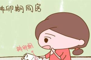 月经干净了第几天排卵？一招快速计算准确时间
