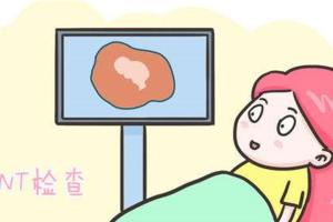 孕12周nt暗示男女？95%准确率机不可失