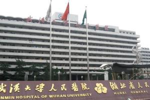 2022年湖北省生殖医院排名分析-其中12家医院仅能人工授精