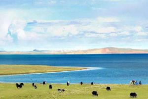 2022年青海省最新公布不孕不育医院排名介绍（附当地试管助孕现状分析）
