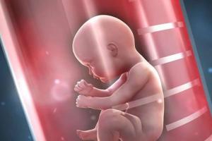 2022江西试管婴儿试管生殖医院（机构）总名册(附带卵源,卵子费用说明）