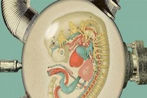 人造子宫生孩子是真的吗？目前不适用，未来可期待