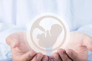 2022年未婚男士可以在哈尔滨做试管实现生育吗？成功率高吗