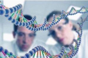 细数2022年最新美国混血儿试管婴儿费用，最新费用明细分享