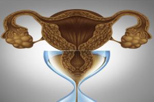 26岁两边总共只有8个基础卵泡能取到几个卵子-建议提升卵子质量