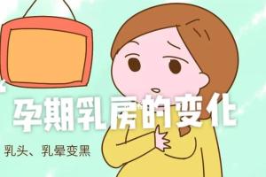 怀男宝和女宝乳房变化？准确对比略有差异
