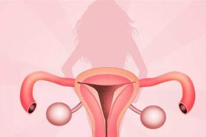 女性备孕期间子宫内膜薄要怎么办？5招调理方式迎接好孕气