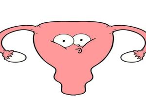 弓形子宫做试管婴儿可以要双胞胎吗?有些风险你更需要考虑