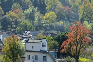 2022安徽省有第三代试管婴儿技术的2家生殖中心-附上医院卵源等待时间