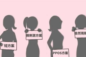 自然周期和人工周期哪个成功率高揭秘？解析对比一目了然