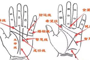 怀了之后手相上有显示男女？一文解读性别差异