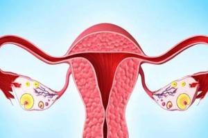 子宫畸形切除手术后还可以怀孕吗？大多要等到这个时间以后