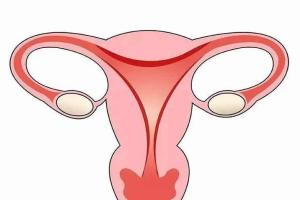 女性子宫内膜薄怎么调理备孕才能怀上？对症治疗才有希望