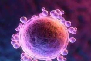 47岁高龄基础卵泡2个还能自然怀孕吗？或有可能但不建议