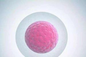 46岁基础卵泡一个还能自然怀孕吗？想要生育不要过于执着方式