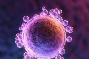 专家深度解析：45岁高龄女性基础卵泡3个还能自然怀孕吗