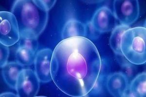 专题解析45岁高龄女性只有2个基础卵泡时还能自然怀孕吗?