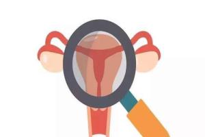 专题解析:当女性33岁时卵巢功能出现下降时还能自然怀孕吗