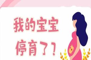 多次胎停能做试管婴儿吗？可以，但要先找出具体原因