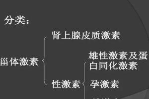 甾体激素知识科普