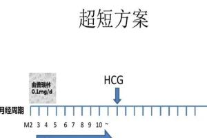 试管促排之短方案