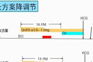 试管促排之长方案