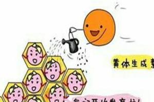 黄体生成激素（LH）知识科普