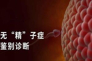 什么是无精子症（科普）