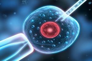 女性在什么情况不能做试管婴儿？5种情况下或无缘试管助孕