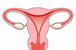 专家深度解析：卵巢早衰是如何影响做试管婴儿的