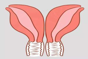 女性双角子宫还能做试管婴儿吗？这个硬性条件是至关重要的