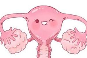 双侧输卵管摘除可以做试管婴儿吗？或许成功率会更高