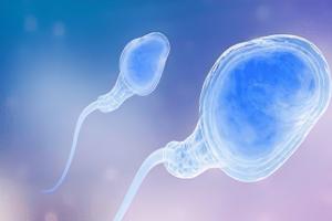 做试管婴儿试管婴儿需要男方精子健康吗？当然一定需要