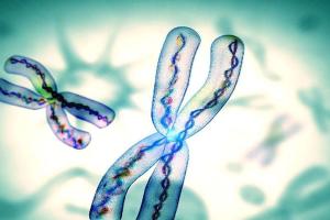 一文解析:克氏综合症能做试管吗