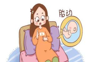 怀孕多久有胎动,最晚不迟于20周