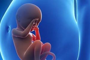 试管婴儿试管出来的宝宝基因是怎么决定的?其实这都不是最重要的