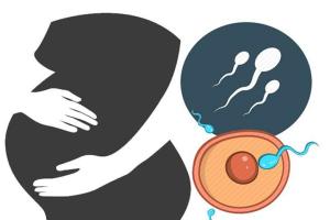 女性可以用别人的卵子做试管吗？试管婴儿适应症和条件你满足吗？